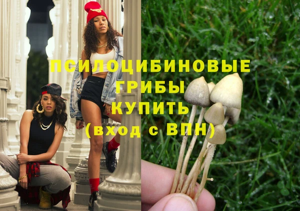 метадон Армянск