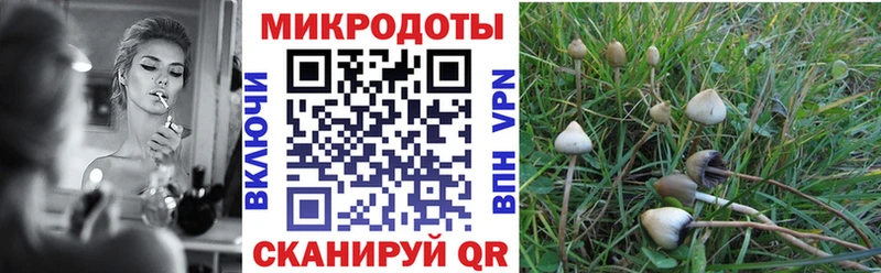 Галлюциногенные грибы ЛСД Луховицы
